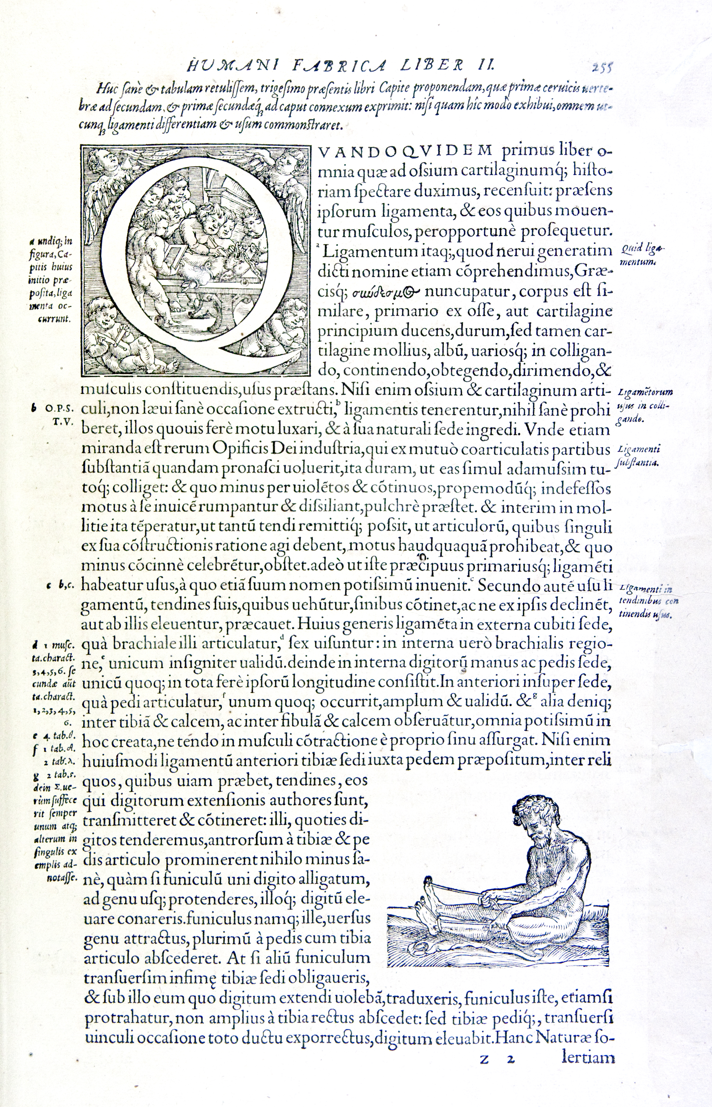 Andreae Vesalii … De humani corporis fabrica libri septem